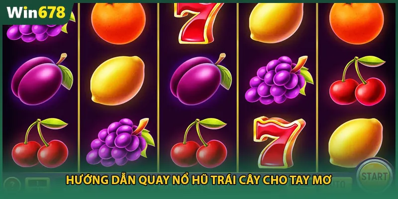 Hướng dẫn quay nổ hũ trái cây cho tay mơ
